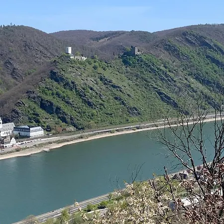 Idyllisches In Ruhiger Lage Am Rhein