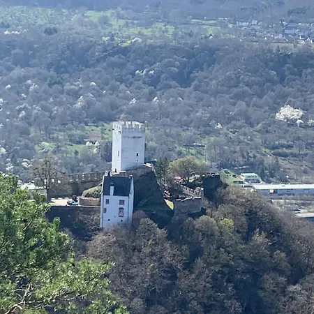 Idyllische In Ruhiger Lage Am Rhein