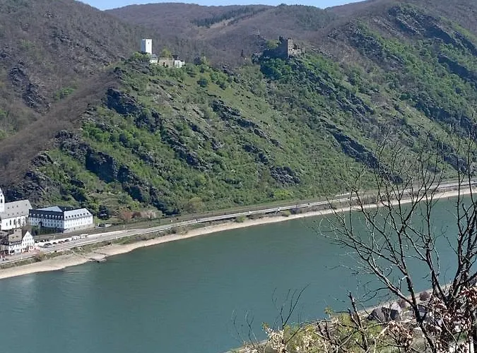 Idyllisches In Ruhiger Lage Am Rhein