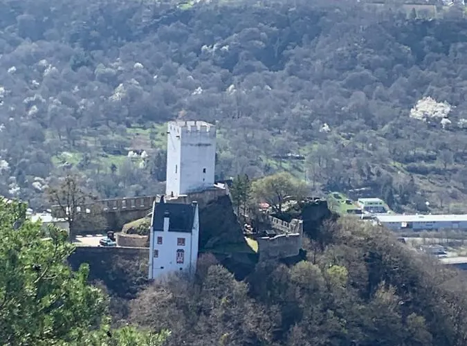 Idyllisches In Ruhiger Lage Am Rhein